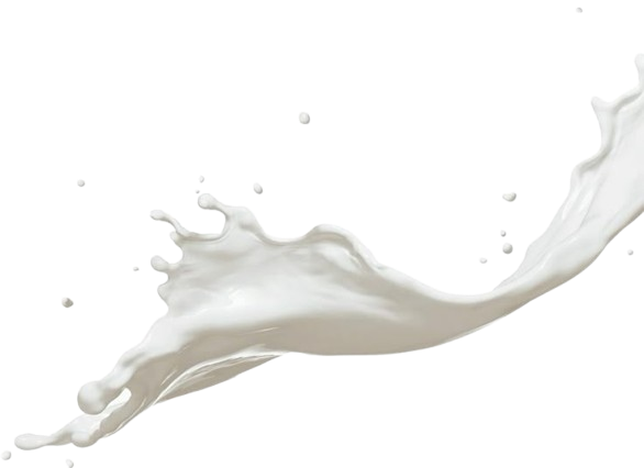 Susu Kambing Etawa